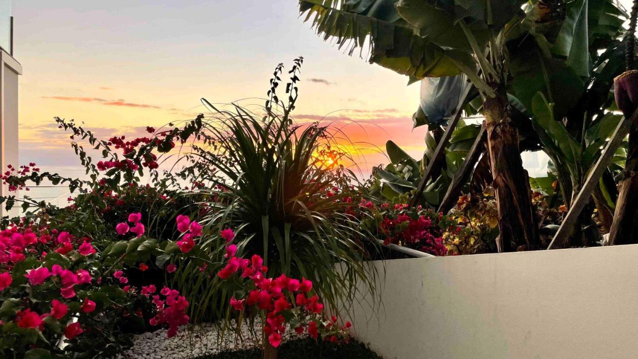 Holiday Apartment Ocean View Ribeira Brava Eksteriør billede